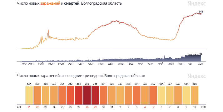 Коронавирус в Волгоградской области, последние новости на 10 сентября: заболевших меньше не становится