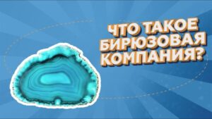 Что такое бирюзовая организация и ее особенности